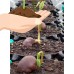 (2) Superoots Air-Pot 3 Gal Equivalent Garden Propagation Pot Planter Containers   